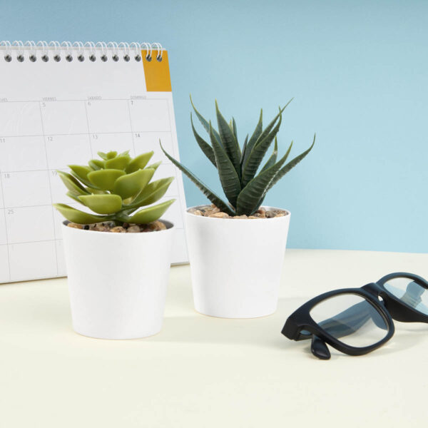 SET DE PLANTAS ALISO